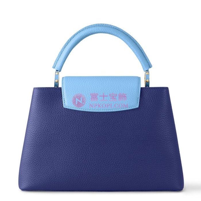ルイヴィトン トリヨンレザー カプシーヌ MM M22674